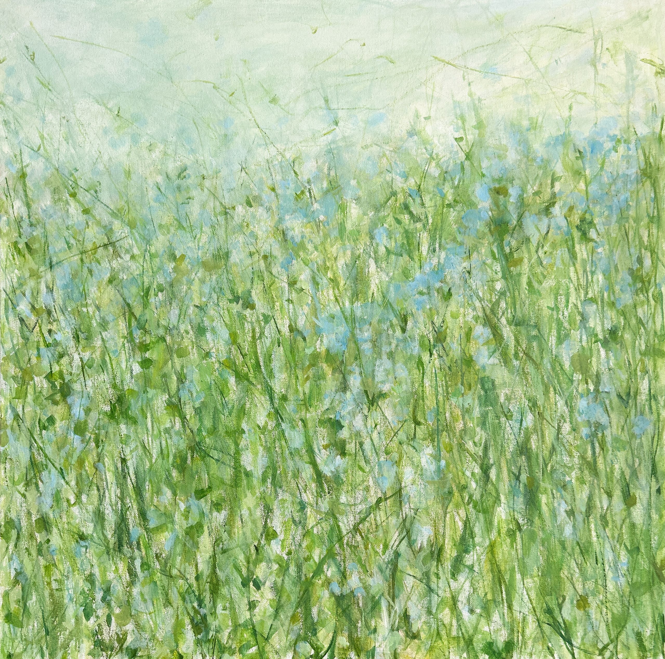 Effortless Grace 70 x 70cm original painting of cornflowers in a green meadow on canvas, painted in acrylics